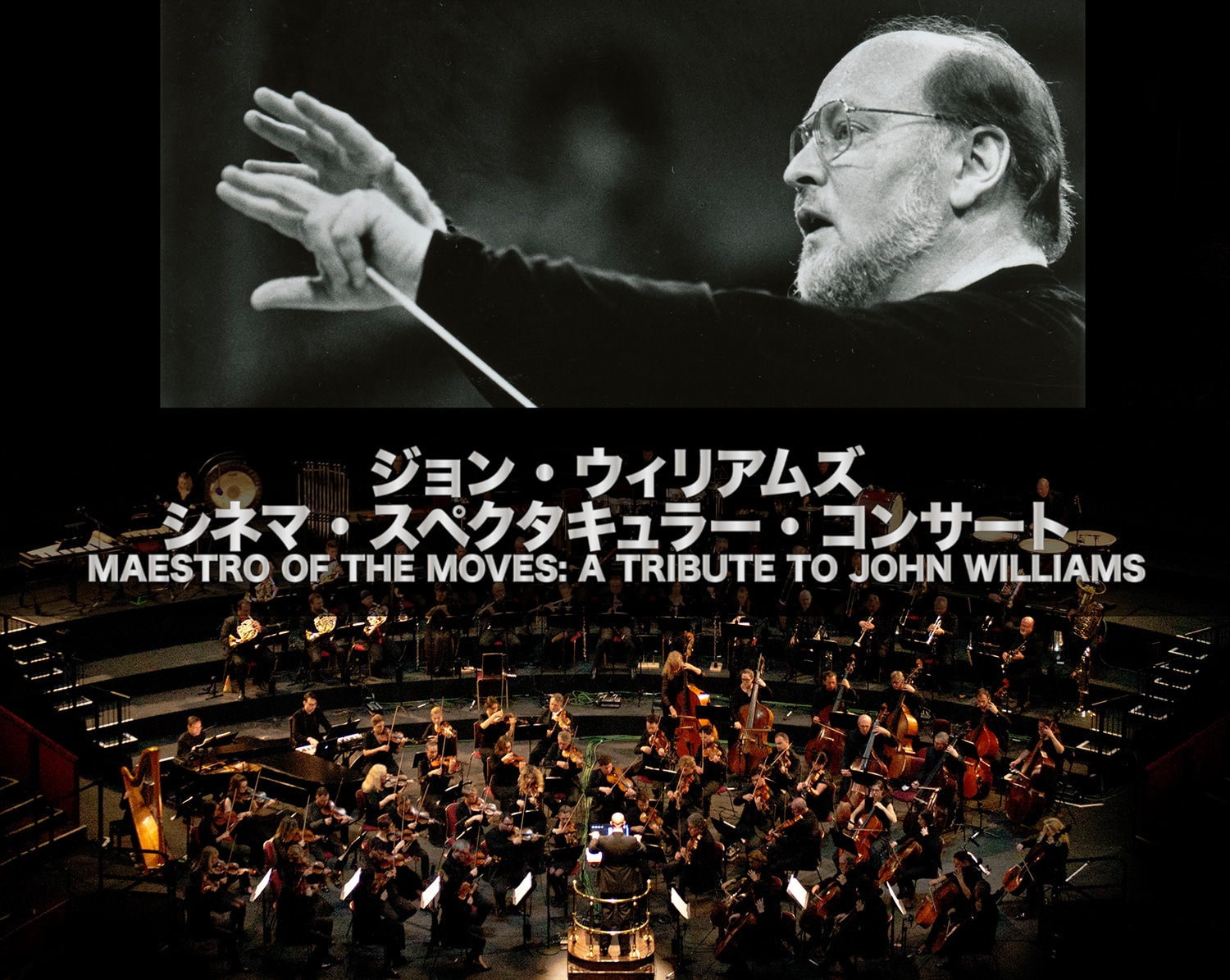 ジョン・ウィリアムズ：シネマ・スペクタキュラー・コンサート MAESTRO OF THE MOVES: A TRIBUTE TO JOHN WILLIAMS